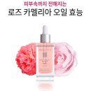 카멜리아뷰티