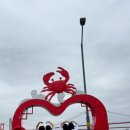 하동편백나무민박 이미지