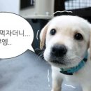 브랜딩로그