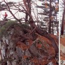 (주)대교운수 이미지