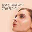 진설향