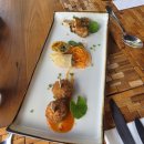 온양 발리동물병원 | 발리 신혼여행 1편｜우붓 일정 + 출국 전 준비 총정리