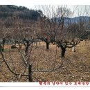 효세농장 이미지