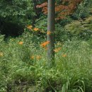 닥터펫동물의료센터 이미지