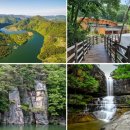 작은나무 큰숲도서관 이미지