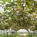 ㈜씨엠씨코리아 이미지