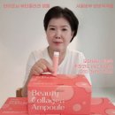 인셀덤 모아대리점