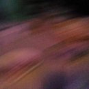 해통백세한의원 이미지