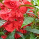 월항면복지회관 이미지