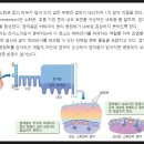 눈꼽, 콧농 등... 구충제 경험과 소견. 이미지