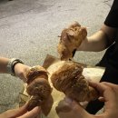 용산-445 이미지