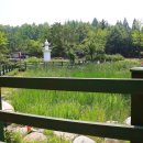 인천나비공원 이미지