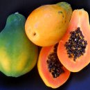PAPAYA 이미지