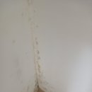 스카이빌 | 부산 김해 공군 관사 스카이빌 1단지 입주 이사 청소 후기(곰팡이와 전쟁)