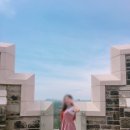 [캐나다] 토론토 여행 #3 (나이아가라 폭포 / 원더랜드(놀이공원) / 카사로마 후기)
