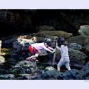 바다야놀자 이미지