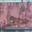 화신스토아 | 명상록(1)