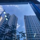 도그 윤 | 부산 유리창 청소 : 명지 애견미용실 도 그 윤 상가 유리창 청소 후기