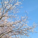 순성농협 하나로마트 이미지