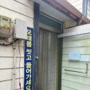 곰섬마을 | 태안 곰섬 캠핑장 추천, 오션뷰 노지사이트 후기