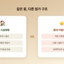 한국생화유통 - 강남구 도산대로83길 48 | 한국생화유통