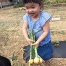 뽑기놀이 이미지