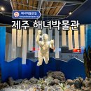 해녀이호 | 제주 동쪽 실내 아이랑 가볼만한곳 제주해녀박물관!