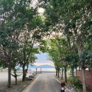 화이트래빗 풀빌라 이미지