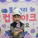 블루베리 컵케이크 만들기🍇🧁 이미지