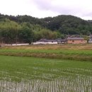내동마을 입구 Daum카페