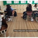 버블스완 이미지