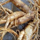 상복농장 이미지