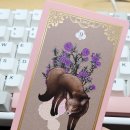 타로로 읽는 하루 이미지