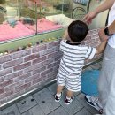 드라이37 | 아기 밤기저귀 추천, 마미포코 꿀잠팬티 하이퍼드라이팬티 착용후기