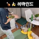 해달치킨 이미지