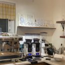 숲속의강아지 | 인천 애견동반 카페 추천 실내 숲속의 밤 내돈내산 후기 주차정보