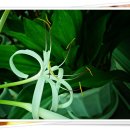 좋은생각 이미지