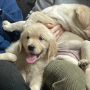 올림푸스원 이미지