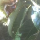 가음농장 이미지