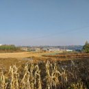 상화농장 이미지