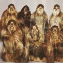 국제미용실 이미지