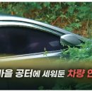 배진경 | 비닐 속 여인과 삼인조 사건, 그것이 알고 싶다 그알 1471회, 차량 114일 시신 방치 서로를 지목한...