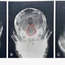 24시잠실ON동물의료센터 이미지