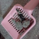 감자와 맛동산 이미지