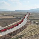 강진3호 이미지