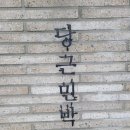 나동민박 이미지