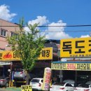 금화카센타