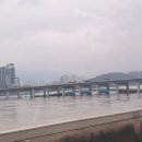 오렌즈강남구청역점 | 드레스투어 다녀온날[브라이드손윤희,로즈로사,시즌알렉스] 드레스투어준비,드레스투어솔직후기