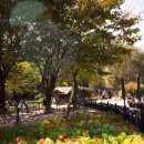 원조태능갈비 이미지