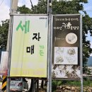 자매정식 | 쌍산재 맛집 세자매가든 치자 영양돌솥밥 정식 먹어본 후기